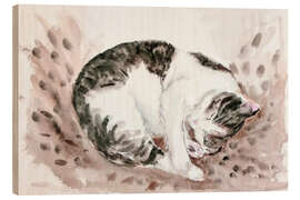 Wood print Sleeping cat