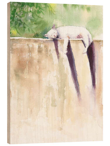 Obraz na drewnie Siesta the cat nap