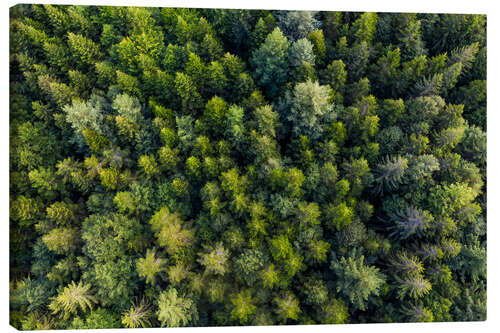 Canvas print Black Forest from a bird's eye view