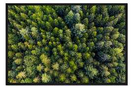 Gerahmter Kunstdruck Schwarzwald aus der Vogelperspektive