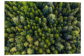 Foam board print Black Forest from a bird's eye view