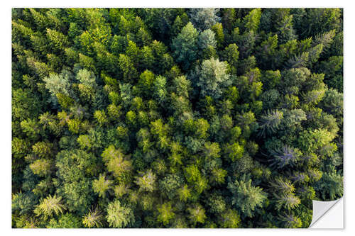 Muursticker Black Forest from a bird's eye view