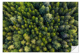 Selvklebende plakat Black Forest from a bird's eye view