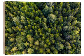 Stampa su legno Black Forest from a bird&#039;s eye view