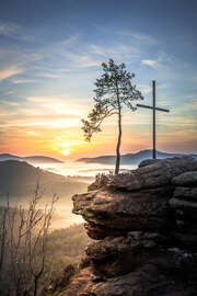 Magnettafel Pfälzerwald, Landschaft mit Nebel