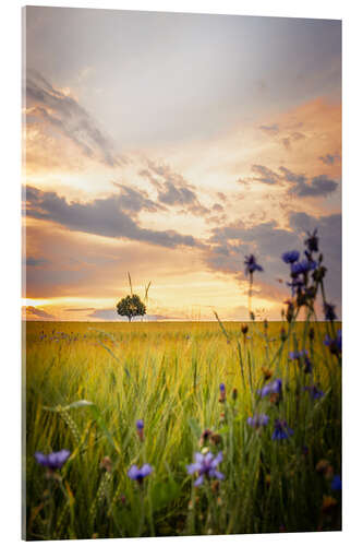 Acrylic print Tree in the field with flowers