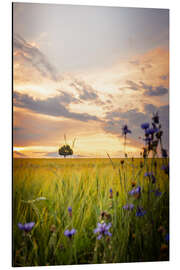 Aluminium print Tree in the field with flowers