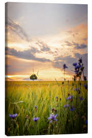 Obraz na płótnie Tree in the field with flowers