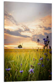 Gallery print Tree in the field with flowers