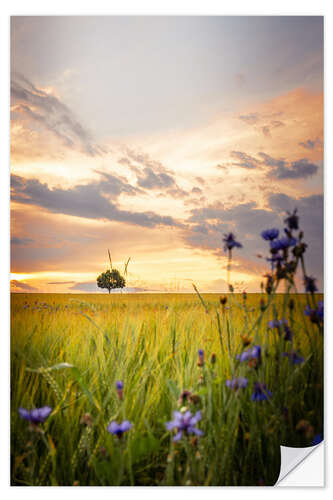 Sticker mural Tree in the field with flowers