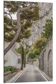 Aluminiumsbilde Capri Island Roads