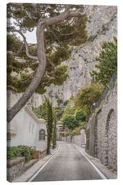 Quadro em tela Capri Island Roads