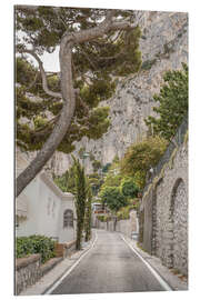 Gallery print Capri Island Roads