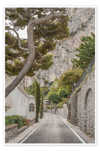 Plakat Capri Island Roads