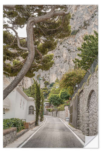 Selvklebende plakat Capri Island Roads