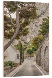 Cuadro de madera Capri Island Roads