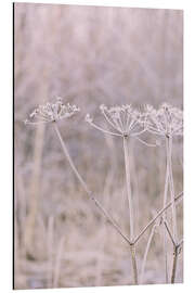 Tableau en aluminium Pastel Winter Morning