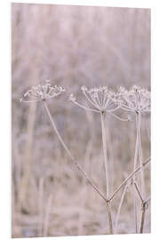 Foam board print Pastel Winter Morning