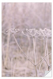 Selvklebende plakat Pastel Winter Morning