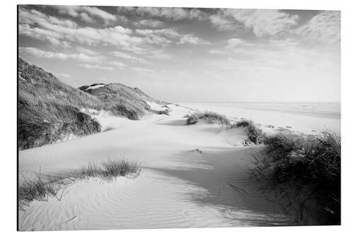 Alumiinitaulu Amrum dune landscape