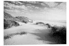 Foam board print Amrum dune landscape