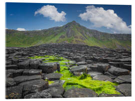 Acrylglasbild Giant&#039;s Causeway in Irland