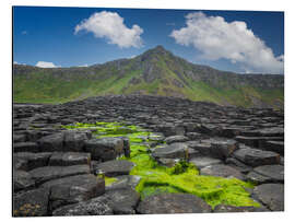 Aluminium print Giant's Causeway in Irland