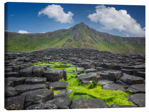 Canvas-taulu Giant's Causeway in Irland