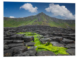 Foam board print Giant's Causeway in Irland