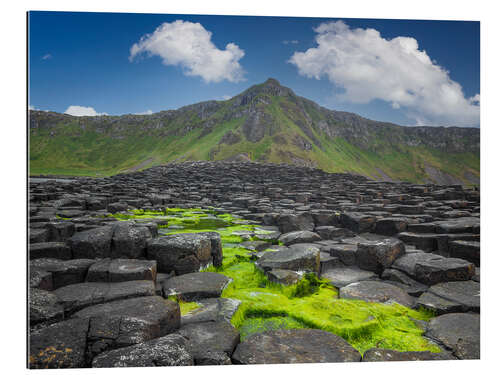 Gallery print Giant's Causeway in Irland