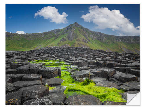 Sticker mural Giant's Causeway in Irland