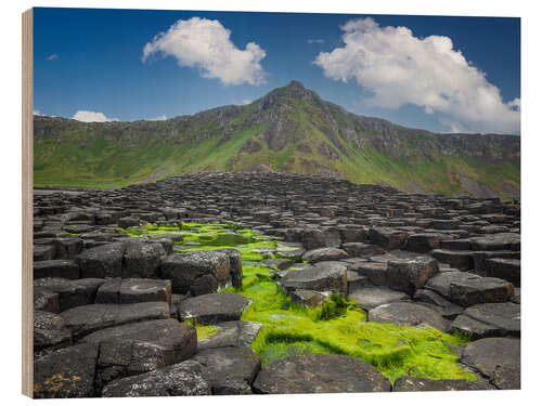 Print på træ Giant's Causeway in Irland