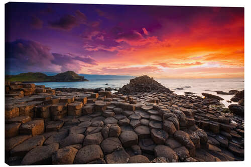 Quadro em tela Giant's Causeway in Irland