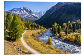 Alubild Herbst im Engadin