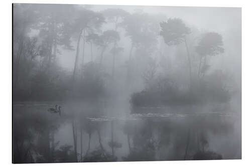 Aluminium print Silent morning