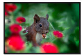 Gerahmter Kunstdruck Eichhörnchen