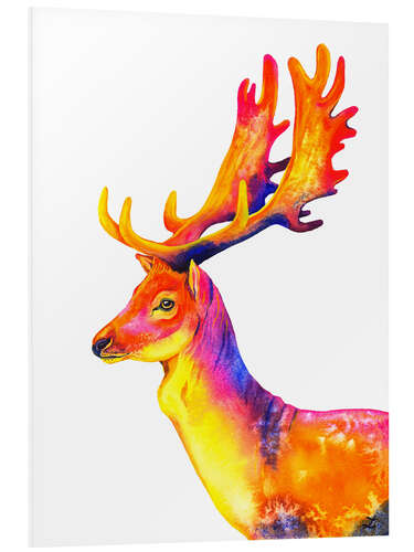 Foam board print Fallow Deer