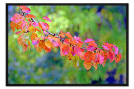 Gerahmter Kunstdruck Herbstzauber