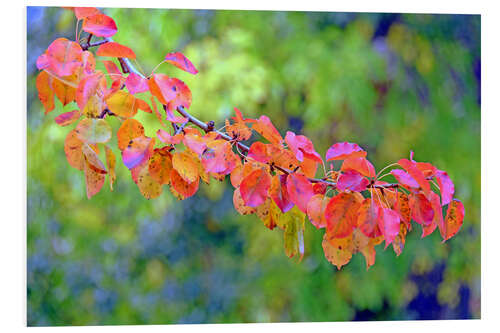 Tableau en PVC Autumn magic