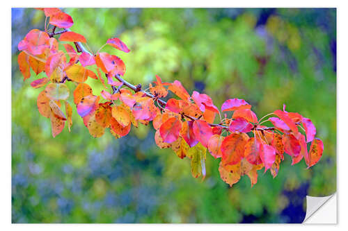 Wandsticker Herbstzauber