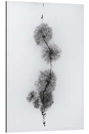 Magnettafel Bäume an einem eisigen Fluss im Schnee