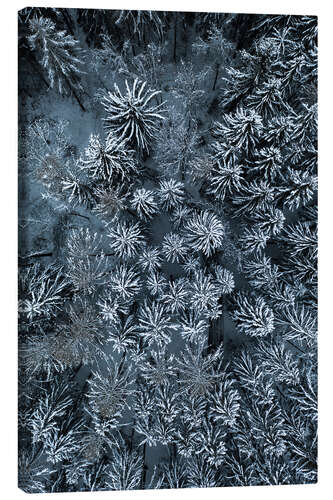 Canvas print The path through the snowy winter forest