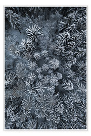 Poster Der Weg durch den verschneiten Winter Wald