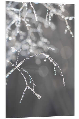 PVC print Glittering dew in the morning hours