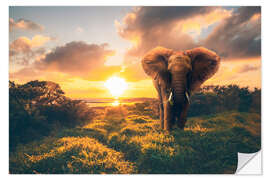 Wall sticker Elephant in the sunset