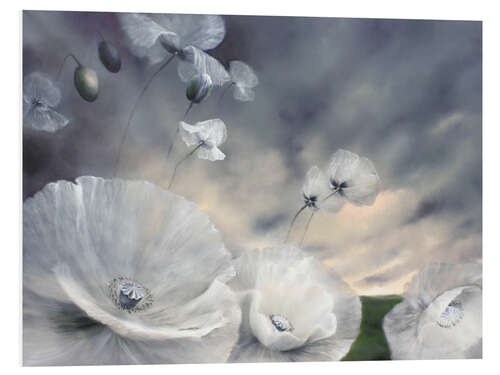 PVC print Fluechtig - flower meadow with white poppy blossoms in the wind