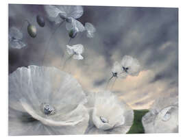 Foam board print Fluechtig - flower meadow with white poppy blossoms in the wind