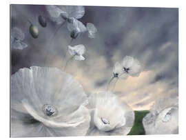 Gallery print Fluechtig - flower meadow with white poppy blossoms in the wind