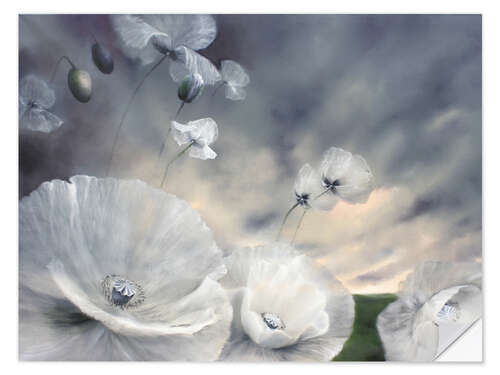 Sticker mural Fluechtig - flower meadow with white poppy blossoms in the wind