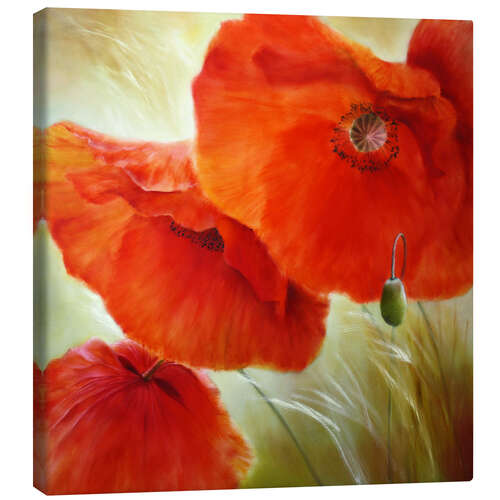 Canvas print Three red poppy flowers